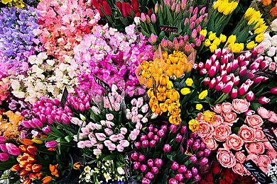 Gamalytic估算：恐怖游戏《米塔》销量破70万份