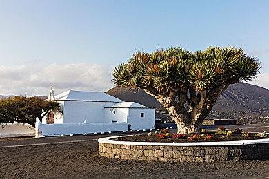 《最后的信念》实体版7月4日登陆PS5＆Switch 银恶城类魂